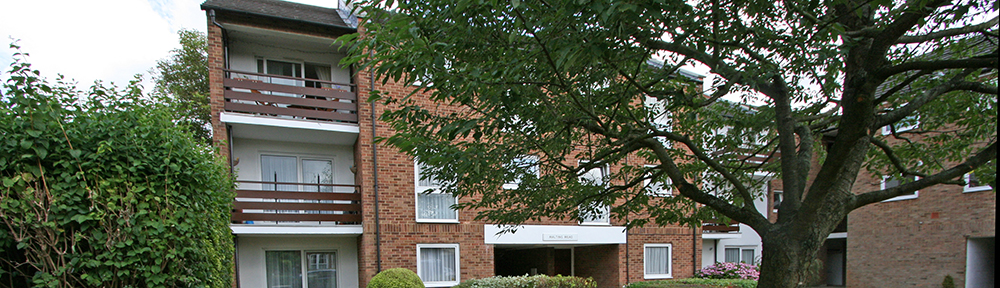 Welcome to Malting Mead